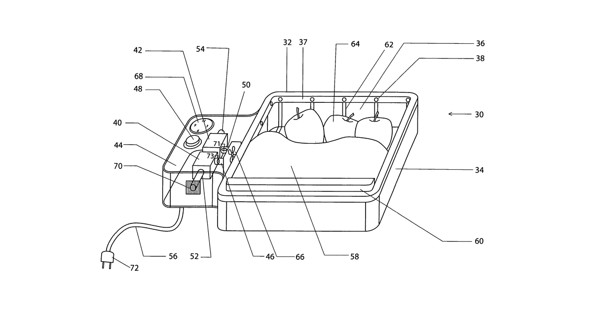 Patent drawing for Countertop fresh fruit and vegetable preservation device