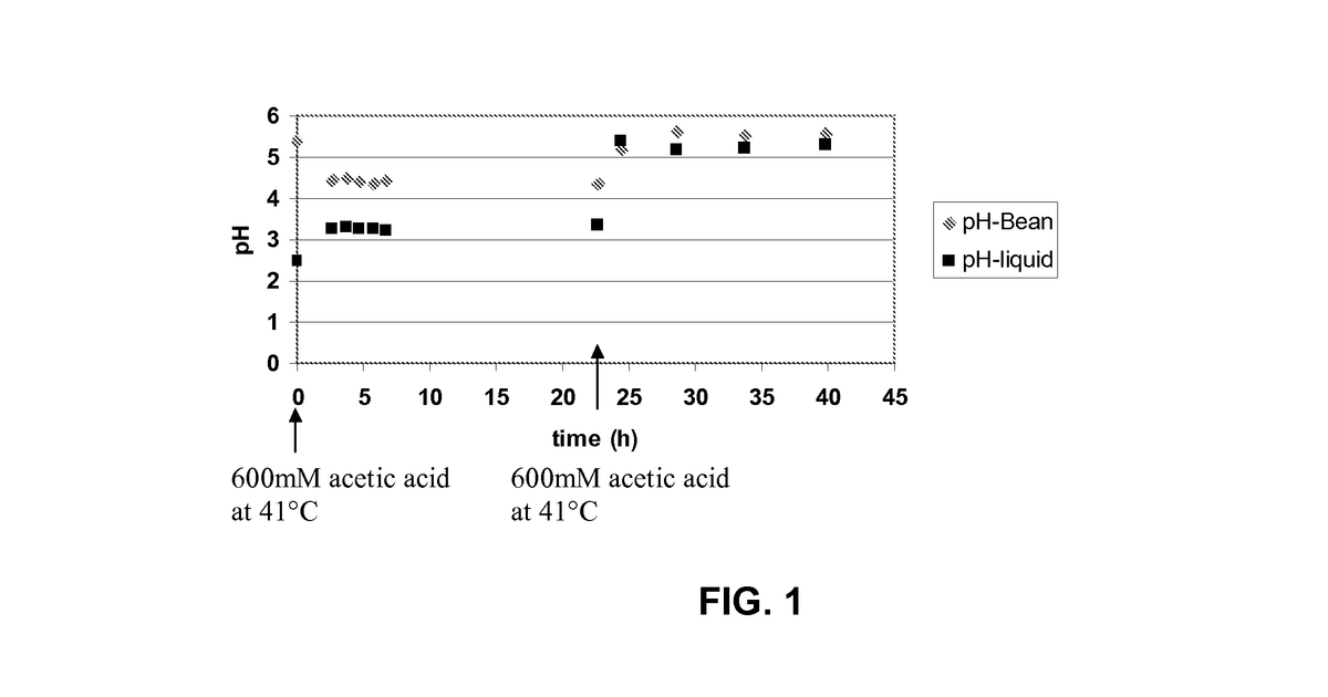 Patent drawing for Method for processing cocoa beans