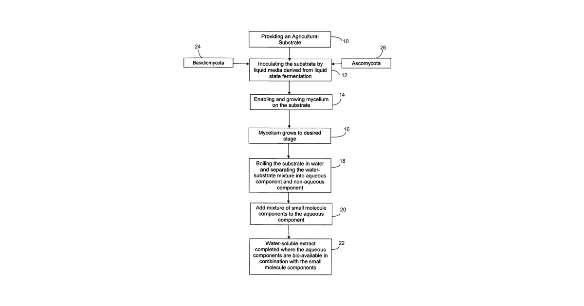 Patent drawing for Method of myceliation of agricultural substates for producing functional foods and nutraceuticals