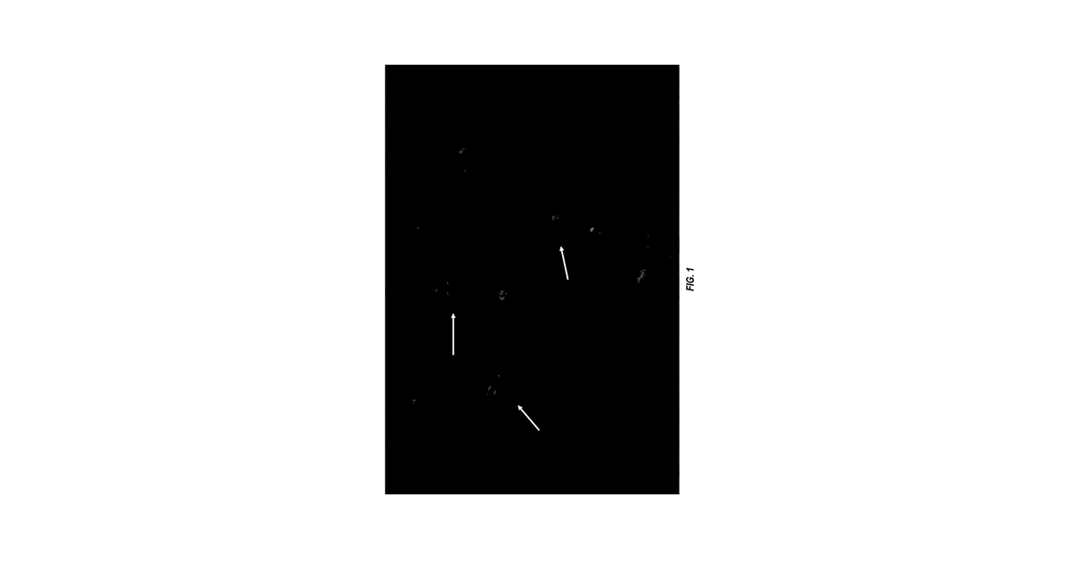 Patent drawing for Cosmetic compositions comprising microalgal oil