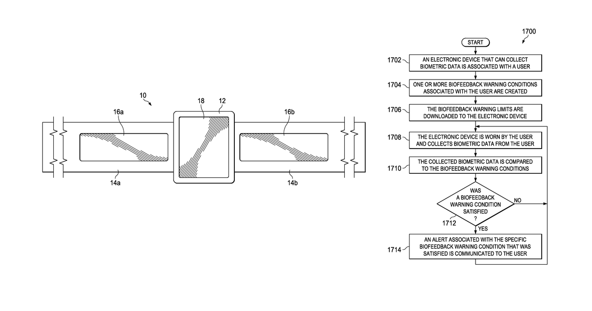 Patent drawing for Electronic device system to display biometric feedback